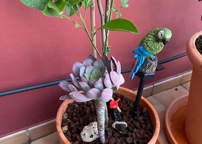 Lucie Exclusive With A Stunning View *