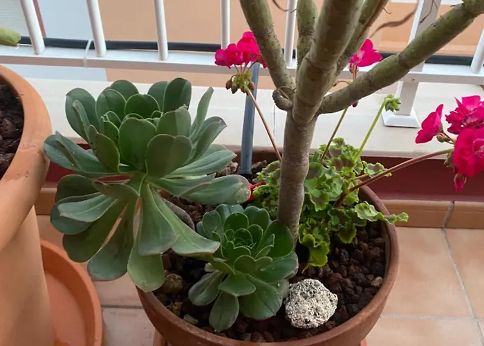 Apartman Lucie Exclusive With A Stunning View Chayofa